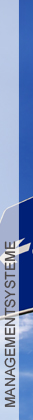 MANAGEMENTSYSTEME